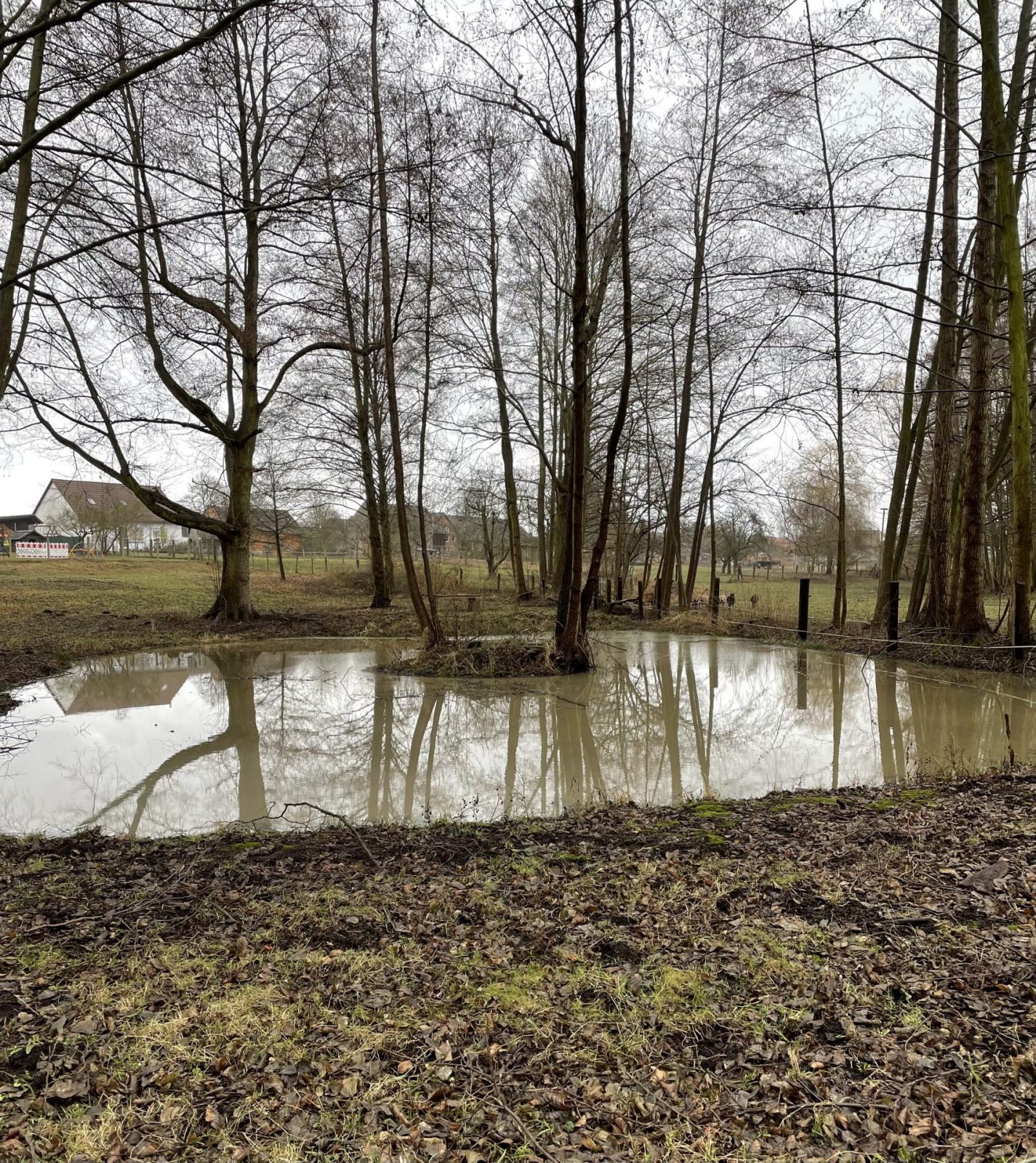 004813FA-2DDF-470A-BD1C-43F4A5D9632A