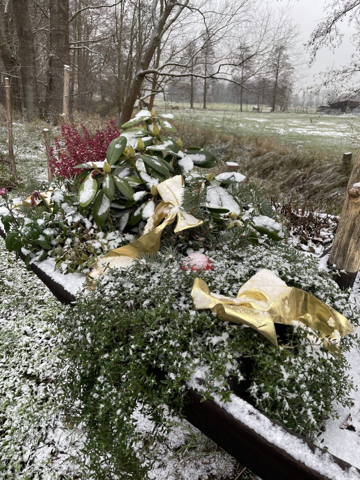 0051E1AE-9BC8-4F93-91F4-7CB06E7C34AA