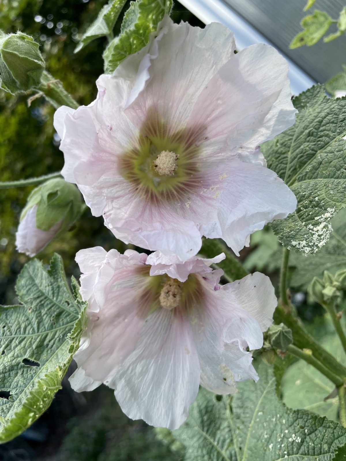 005B341A-A967-4F7B-BCF4-828F000FD8E1