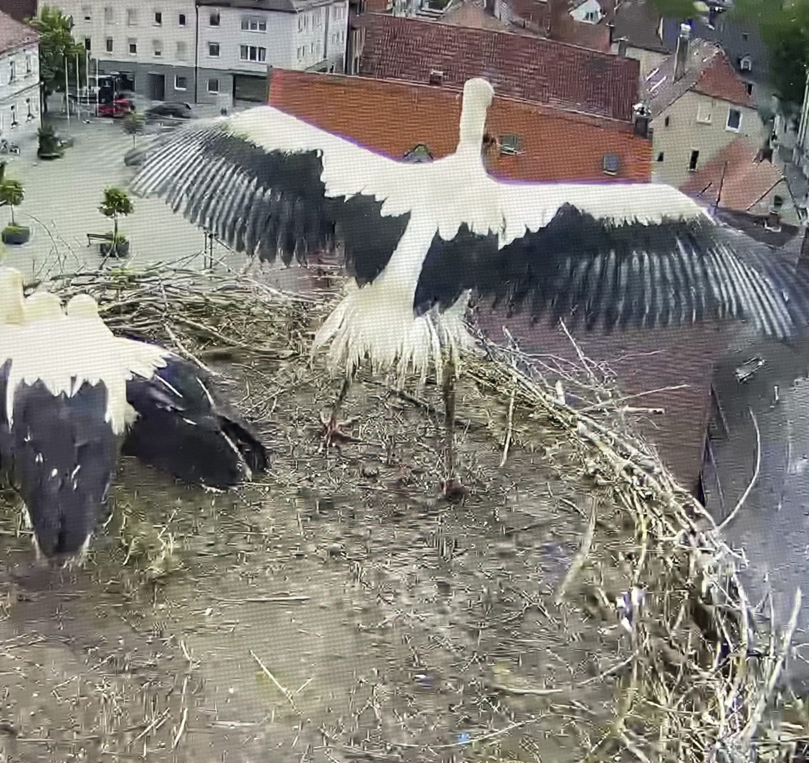 011583BE-C3FD-47C2-9688-8CA204D0319F