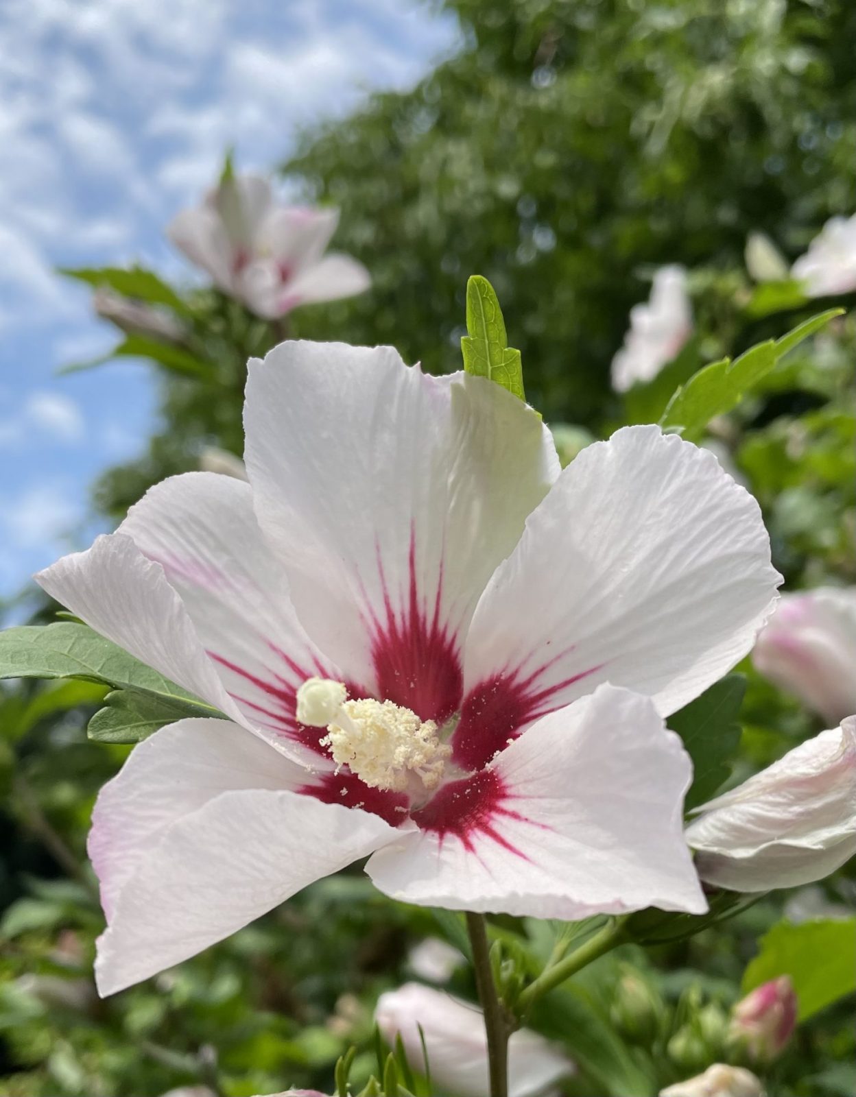 01232BBE-A377-47EB-9920-7B29767AA7F5