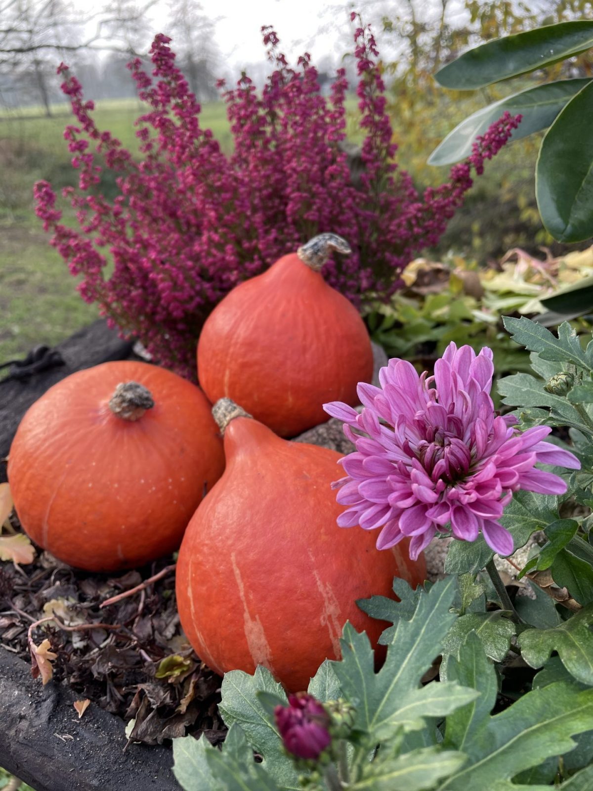 018C1CA3-8E67-4754-82F2-EDB212FD0DAE