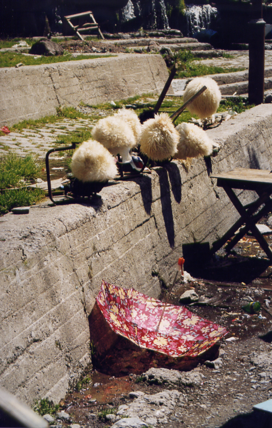 019Pelzmützen wird man bei Touristen auch im Sommer losa