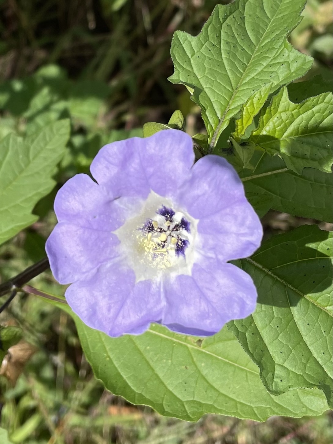 01BE8D31-6A08-49F3-8B84-71C6C0DE4822