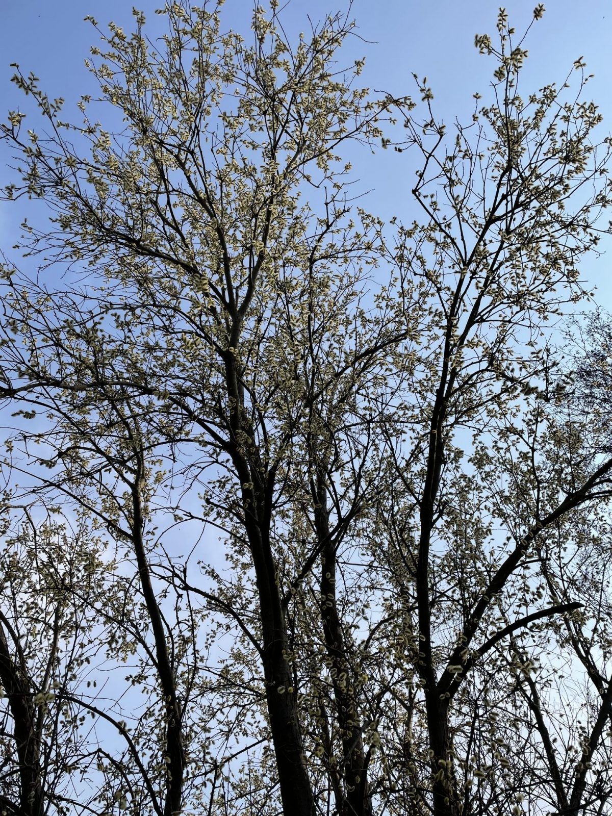 01C2BCBA-D045-4E90-9C94-39AF3A05BBE1