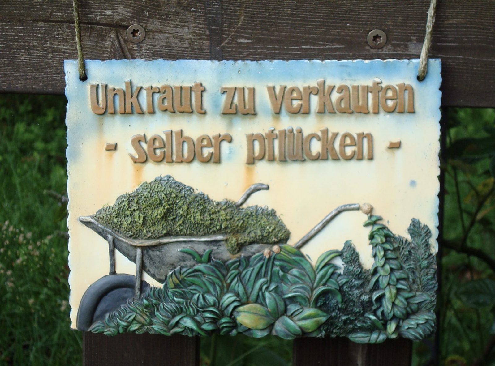 02044A76-84FD-4985-BD11-71443EEEC0BC_1_201_a