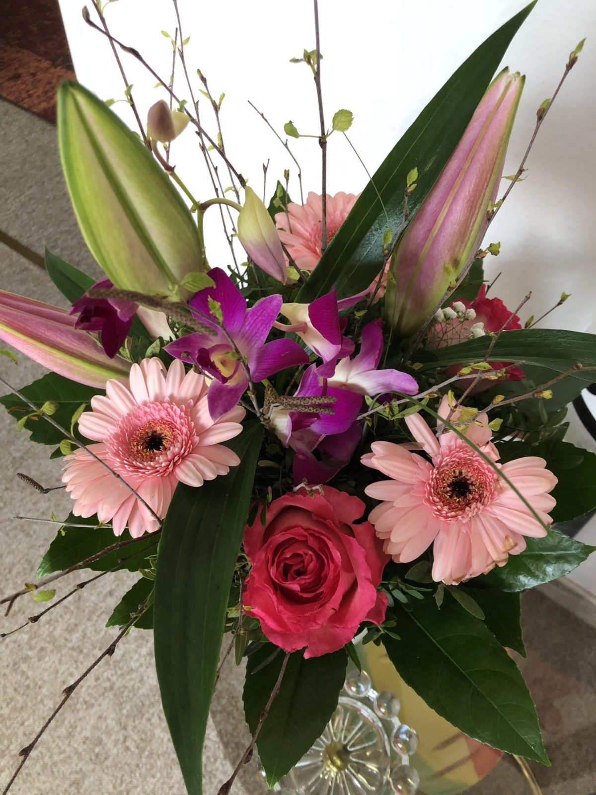 0218B5C3-1435-408B-98AE-9EA68D858881