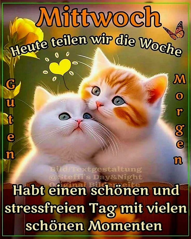 0221388c-6989-447d-822f-d826fb42dfc0