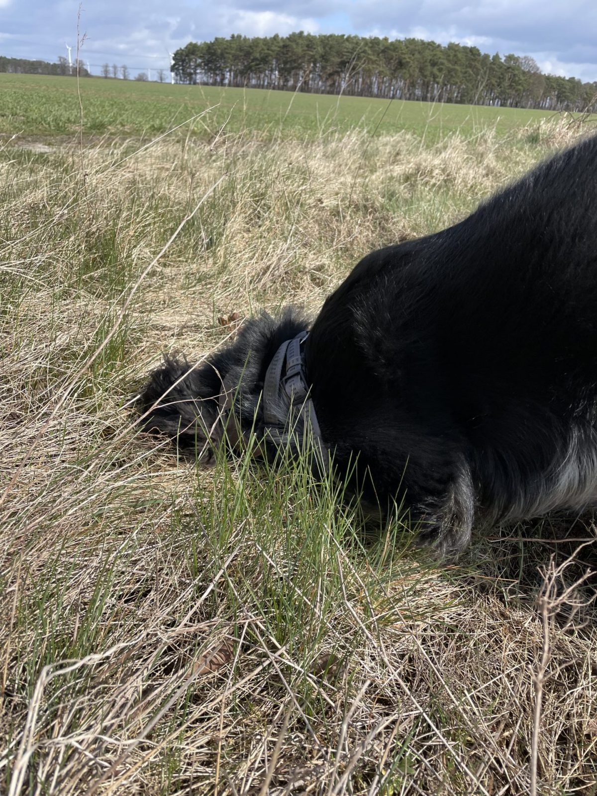 024C2CF8-965C-44F6-9668-96BFDDB036AA