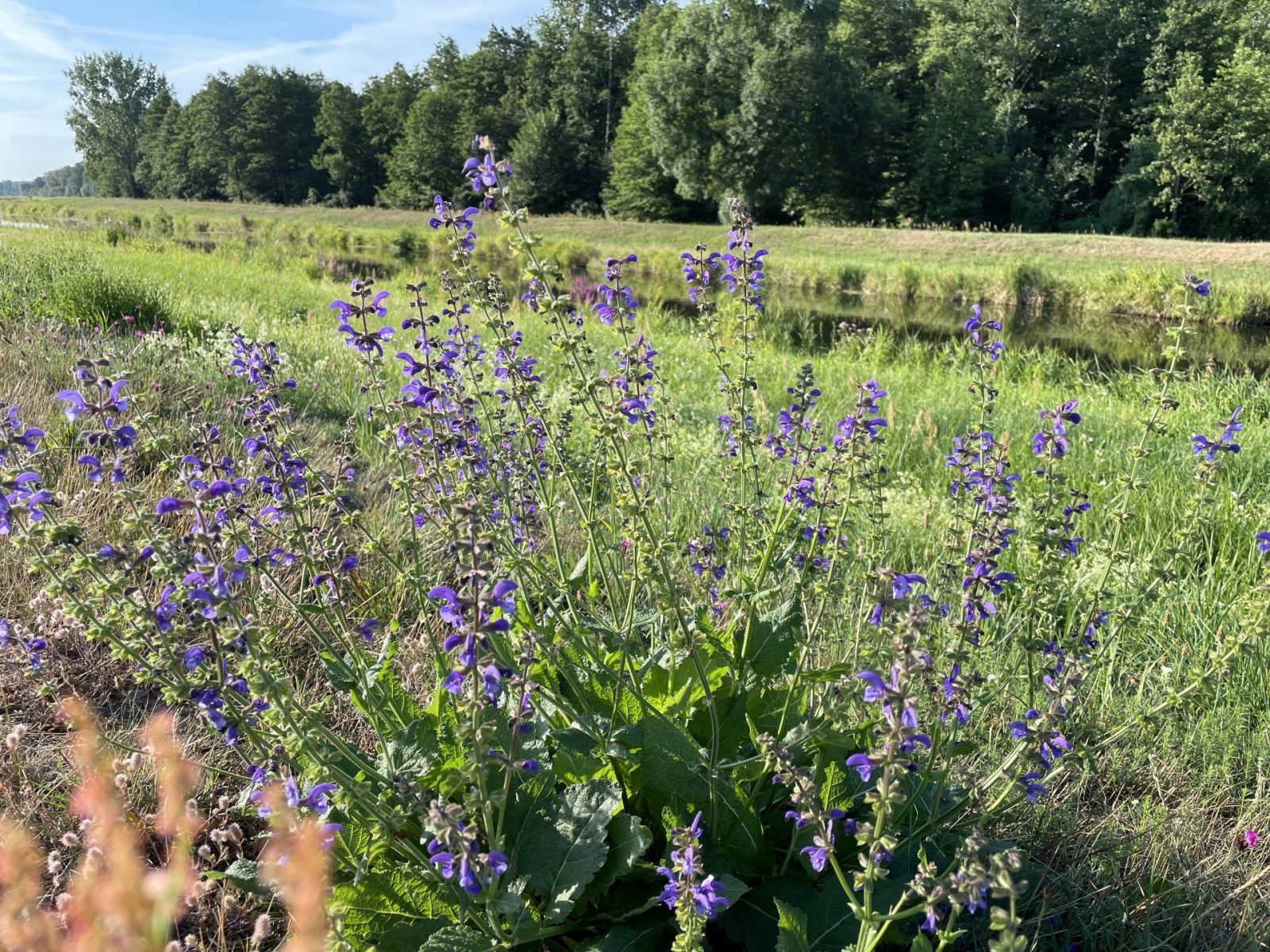 02C77213-3B1C-4DA7-9847-07A384D8E9B9