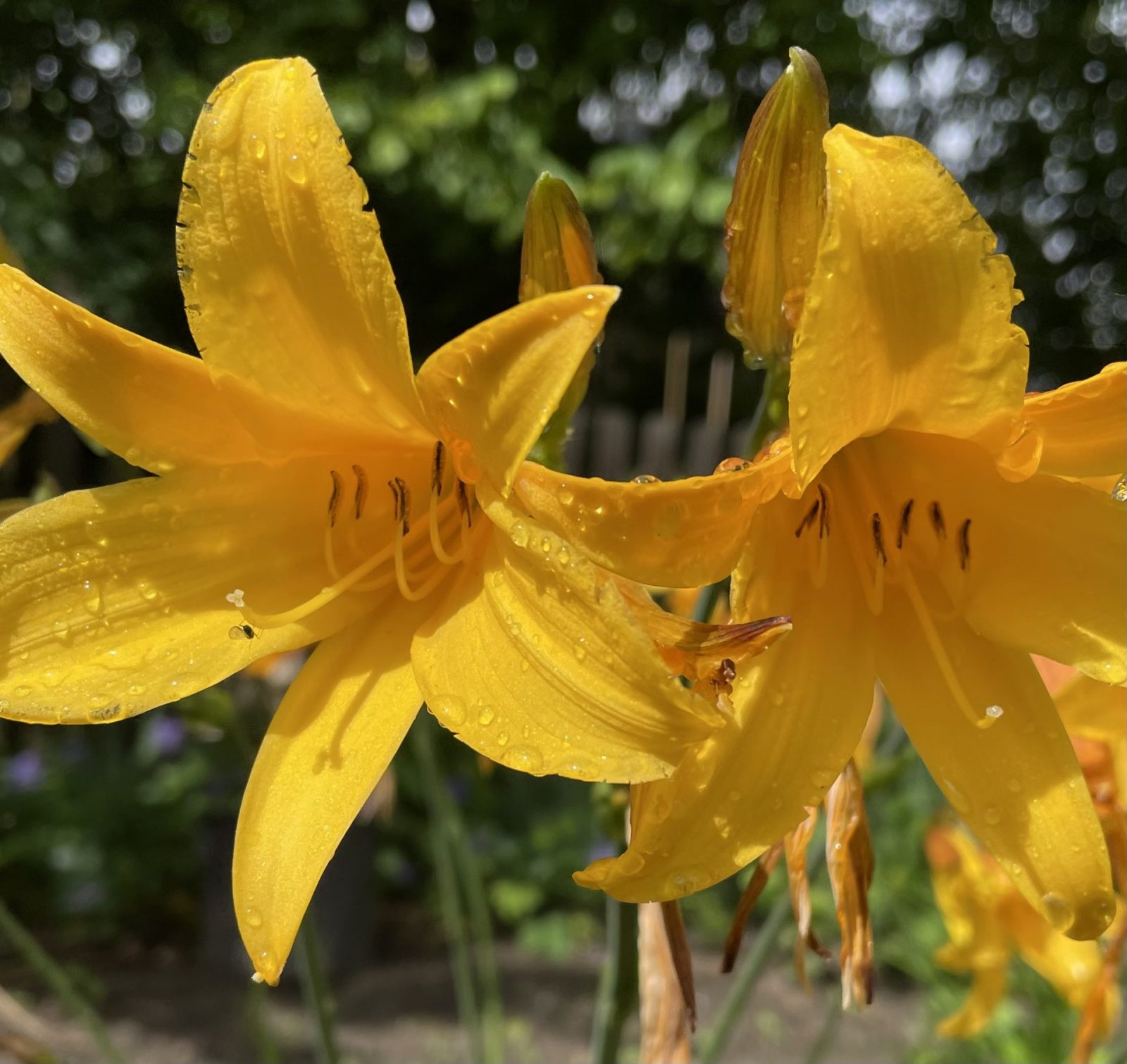 02E5A4BC-A376-4B03-83ED-AC9A25D4ACE1