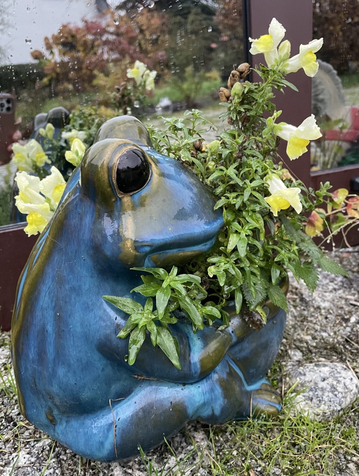 033A57D1-7E53-4668-A3C6-58160918AF0F