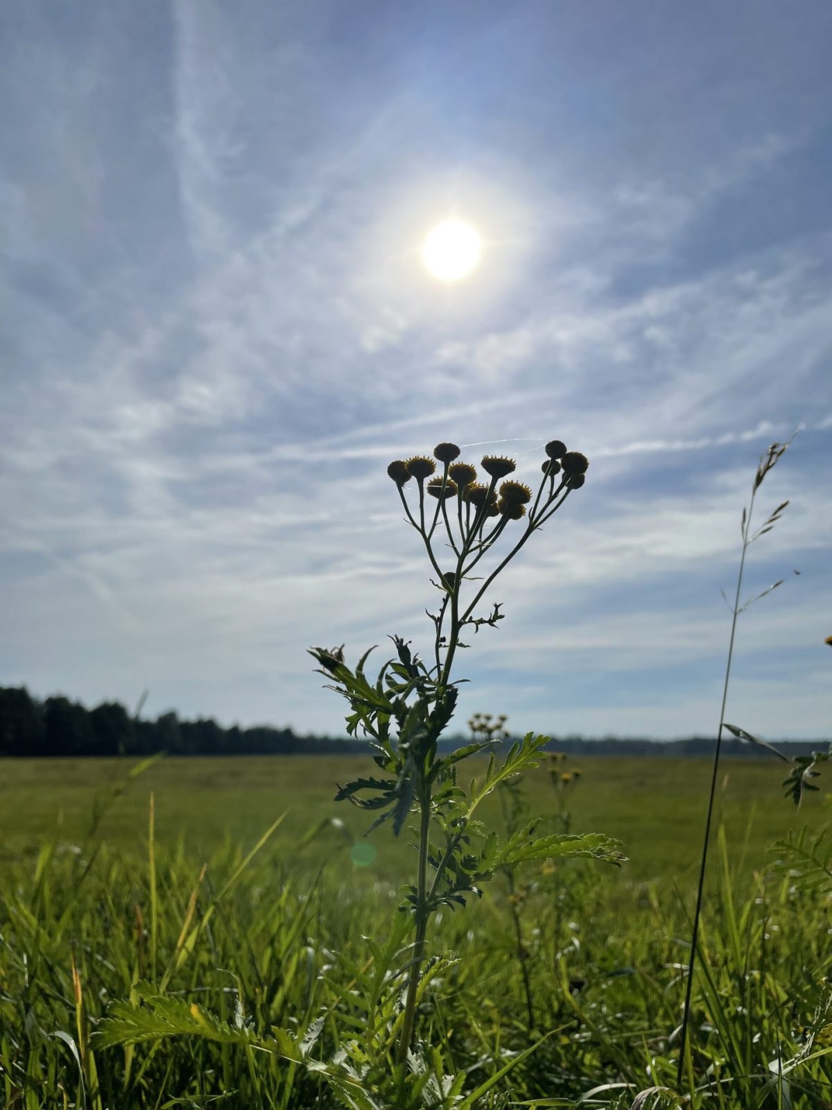 0344C39B-F950-45D9-9283-DB4DFBAE1F92