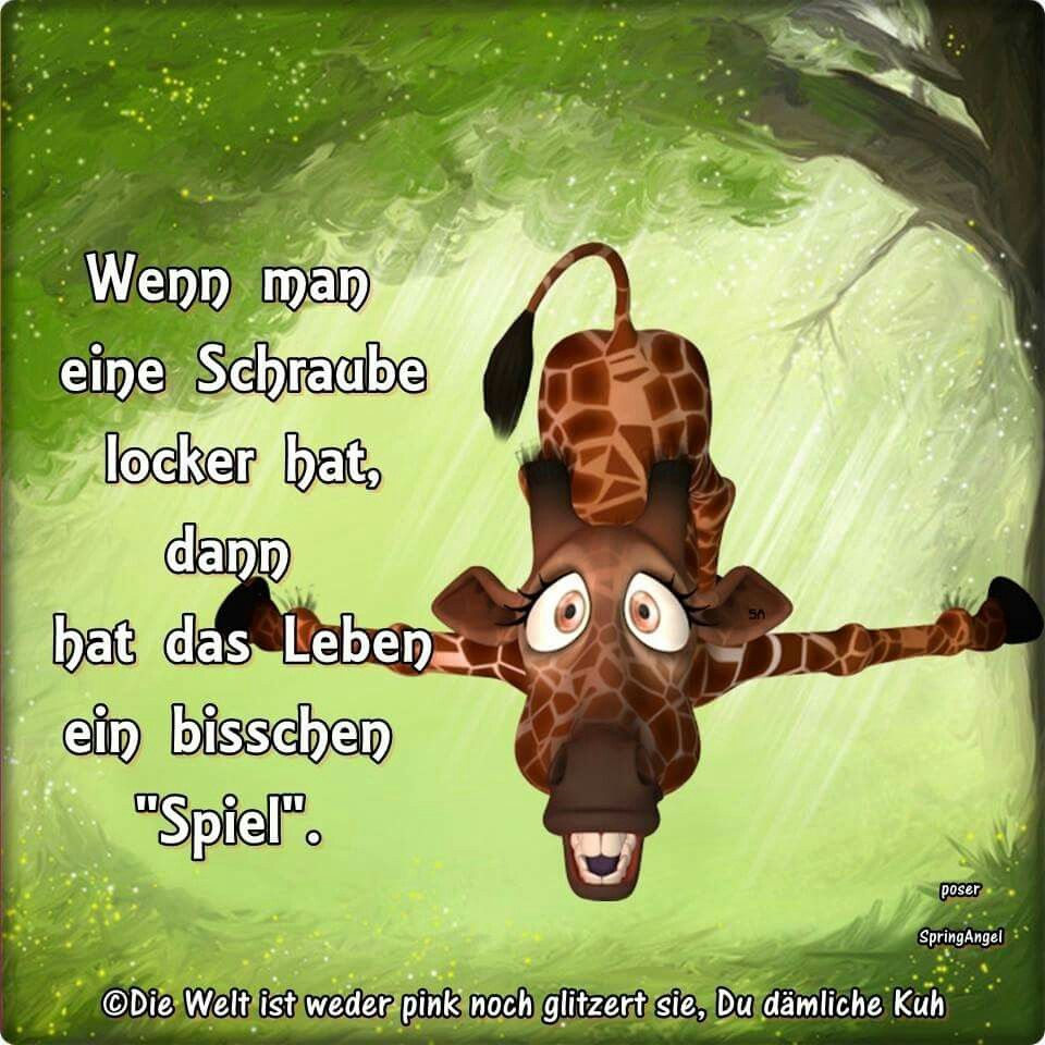 035da3745732616e6bf56cd6bdf8cd82