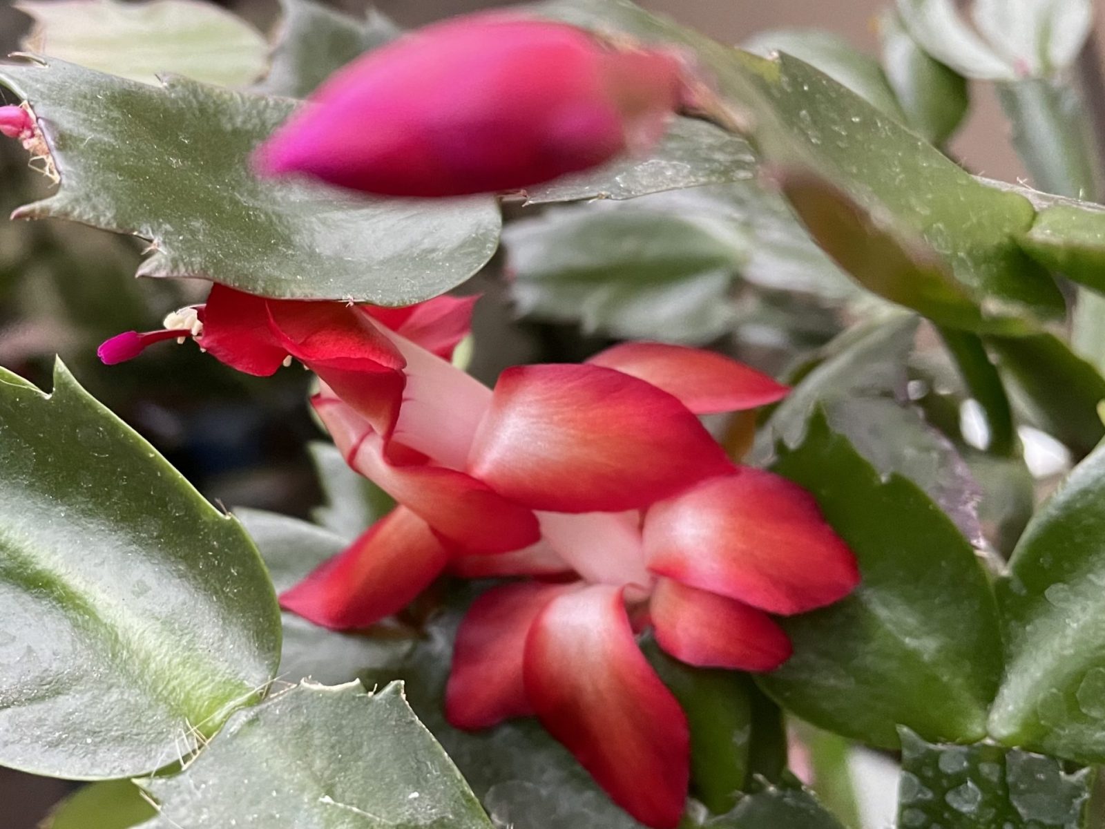 0382D0D1-2D8B-46A0-9261-A1E49F29102B