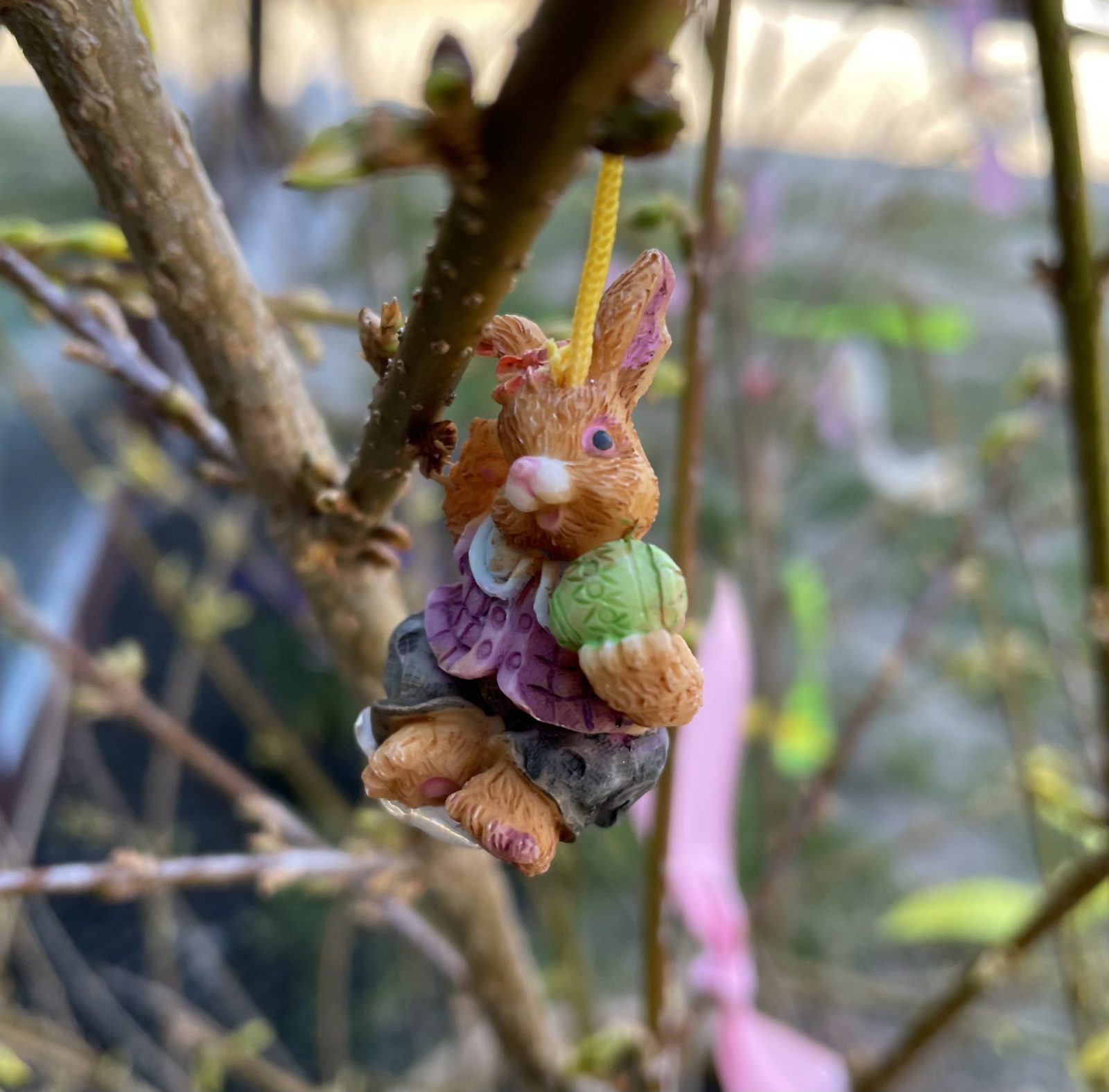 0383AE2F-C120-4C25-BA47-E359BED4F456