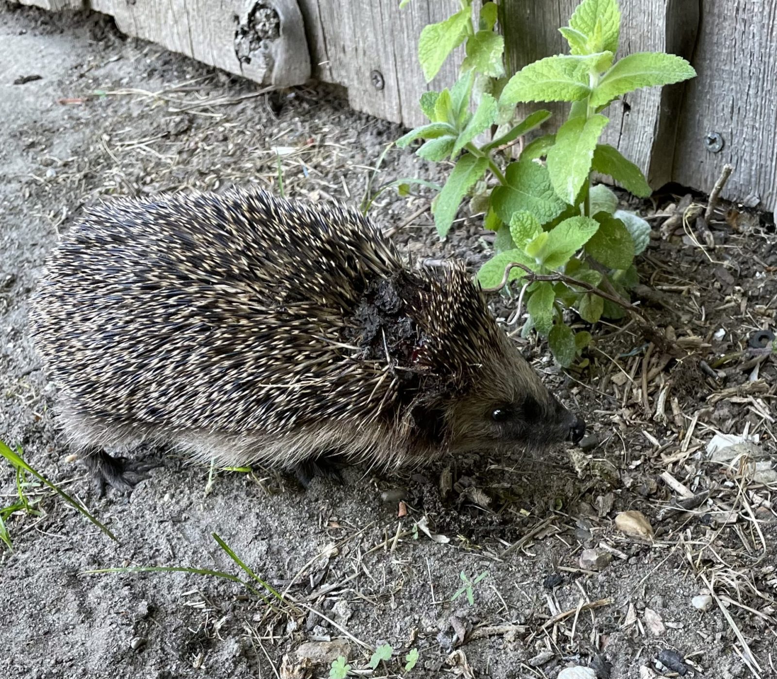 0397927B-D553-4D4C-821C-253735E4CDBD