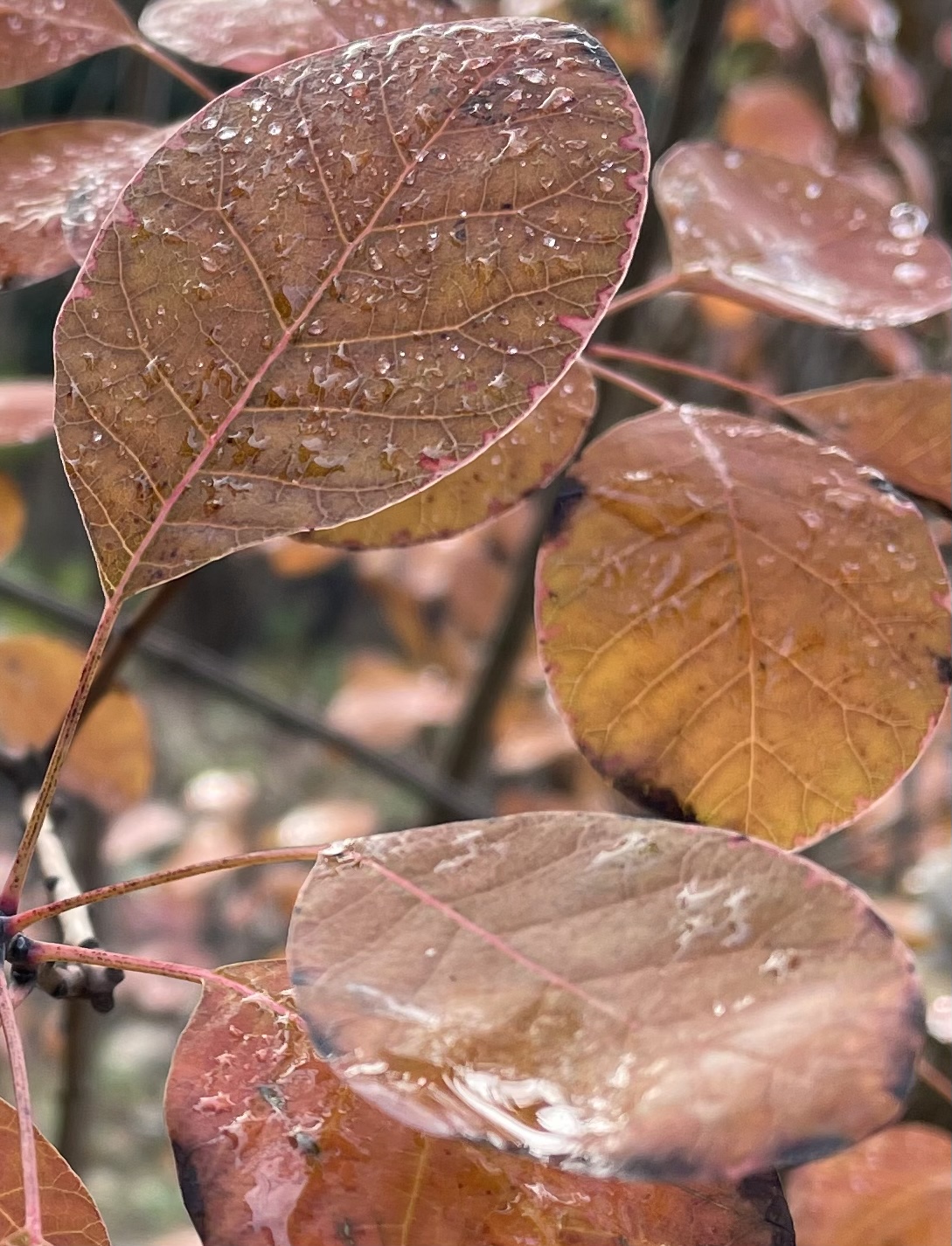 03CD9BA2-B76C-4DE2-BC21-94BAF97ECB89