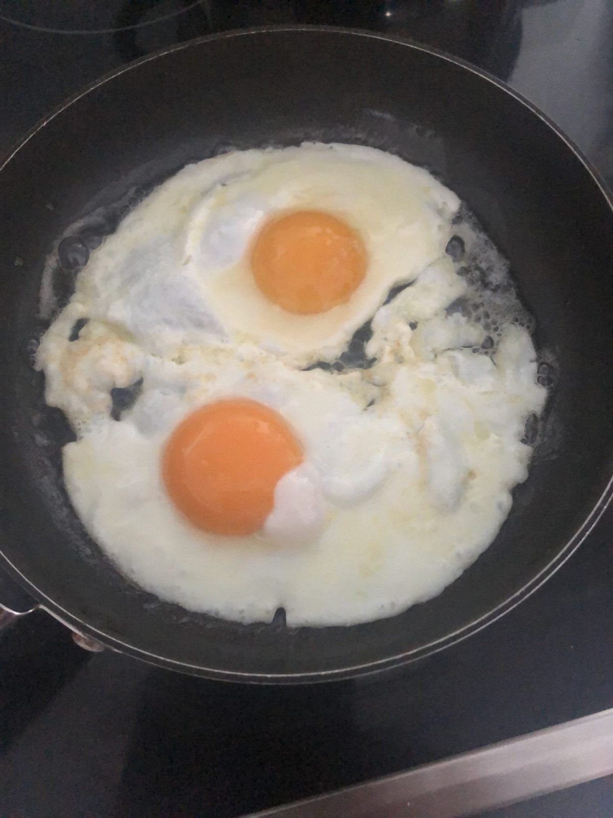 03DC3311-EC2A-438B-B448-DA949816D271