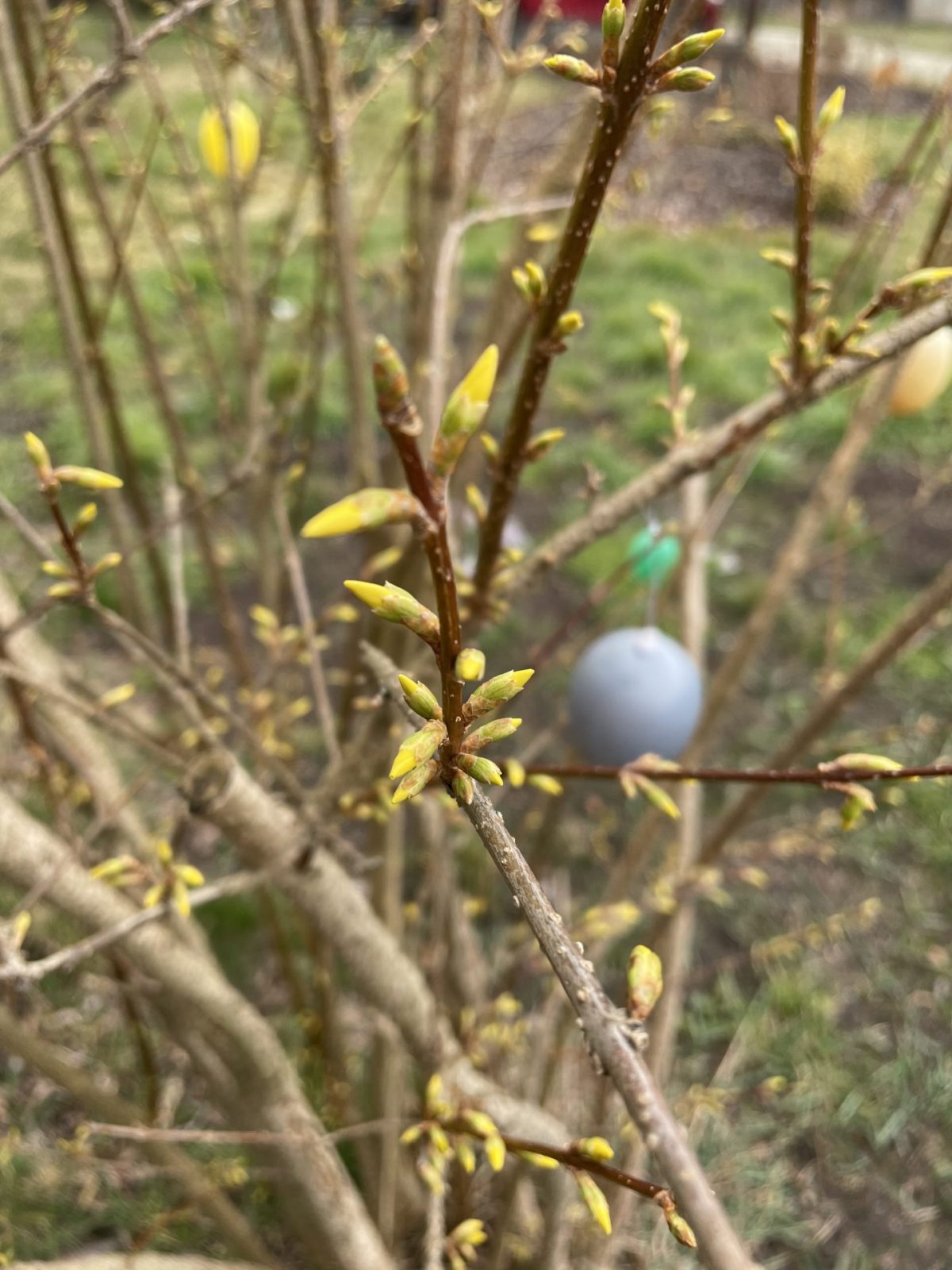 042906E7-E965-4A8E-AC12-BF10CCF48165