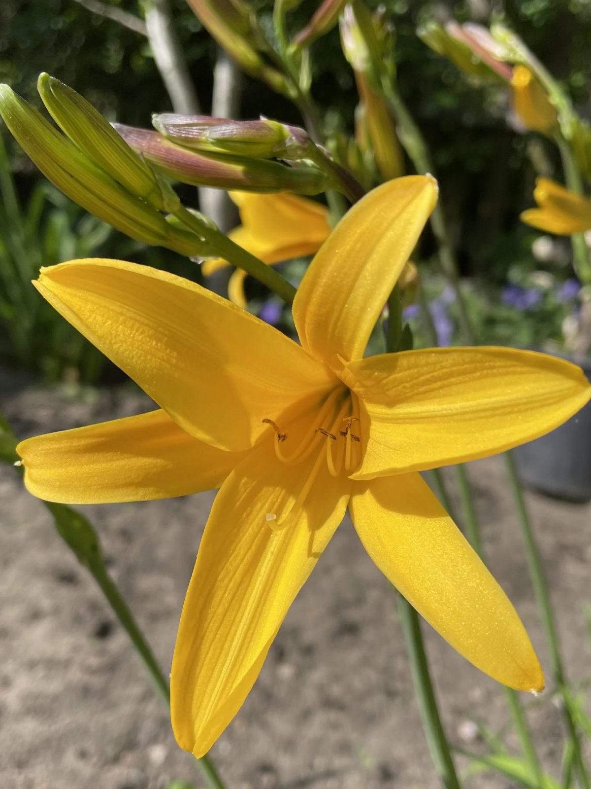 0433E696-022E-4AA9-ADF1-47676B9E1F1F