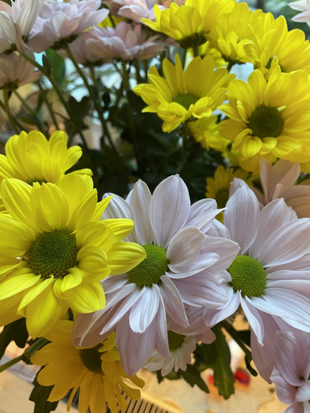 04A199B3-6C3F-4793-8C66-4335BDCC50FB