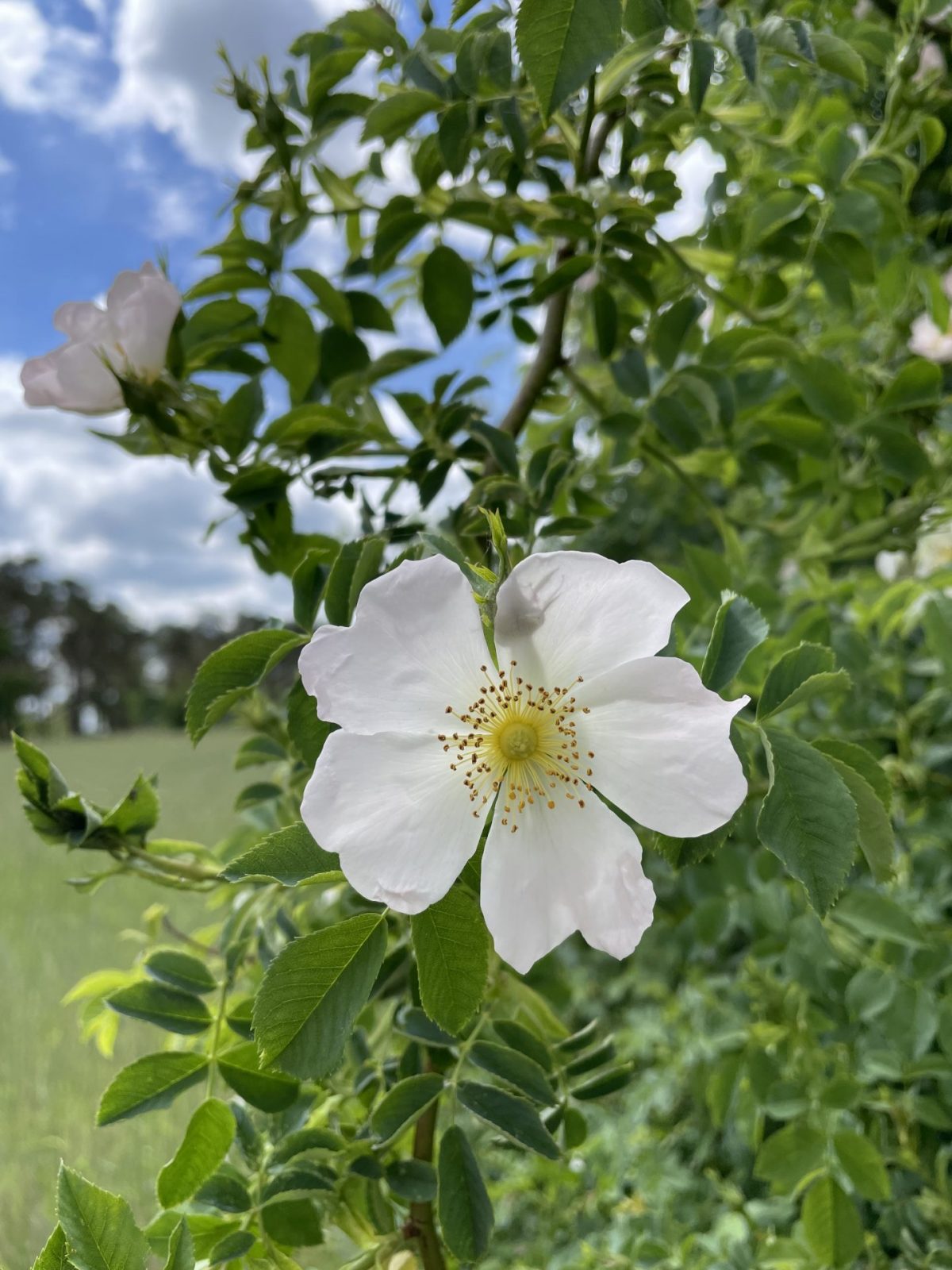 04AC5574-7A99-4931-9995-6EFF57681424