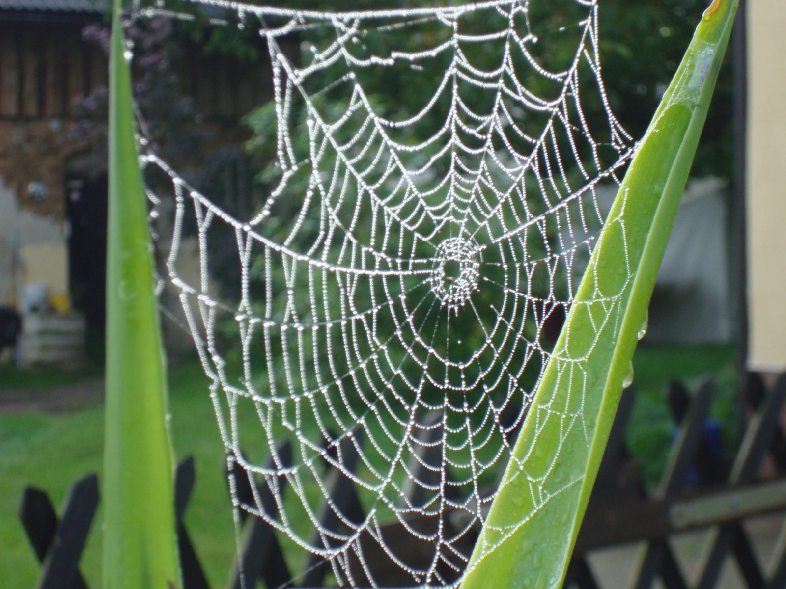 04CE1AC8-EAE7-4E16-9C35-ED30183D6E41