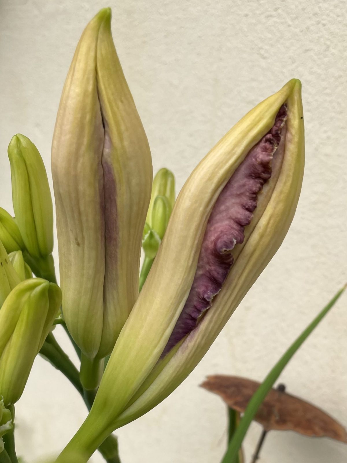 050E1F57-355C-48B1-ABF7-9EA5EF187BAF