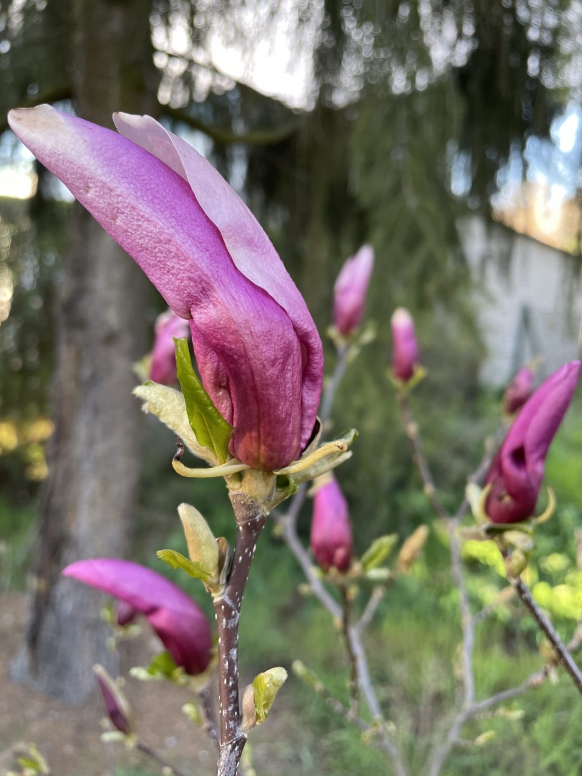 0530C7BD-EA07-4258-B9F7-6883A53FBD00