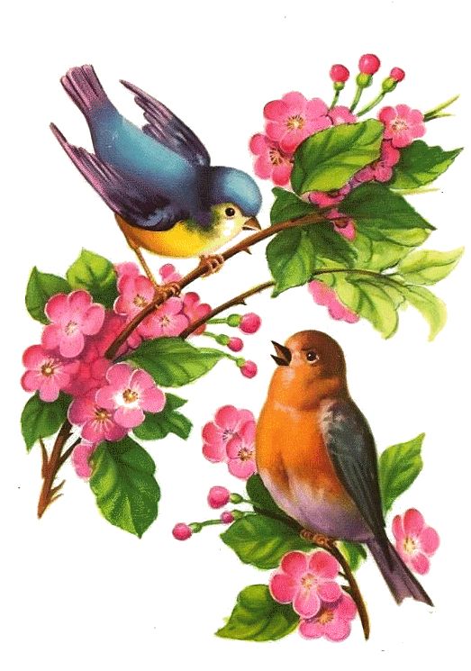 05346013acef047ad13d4ea89bad5433