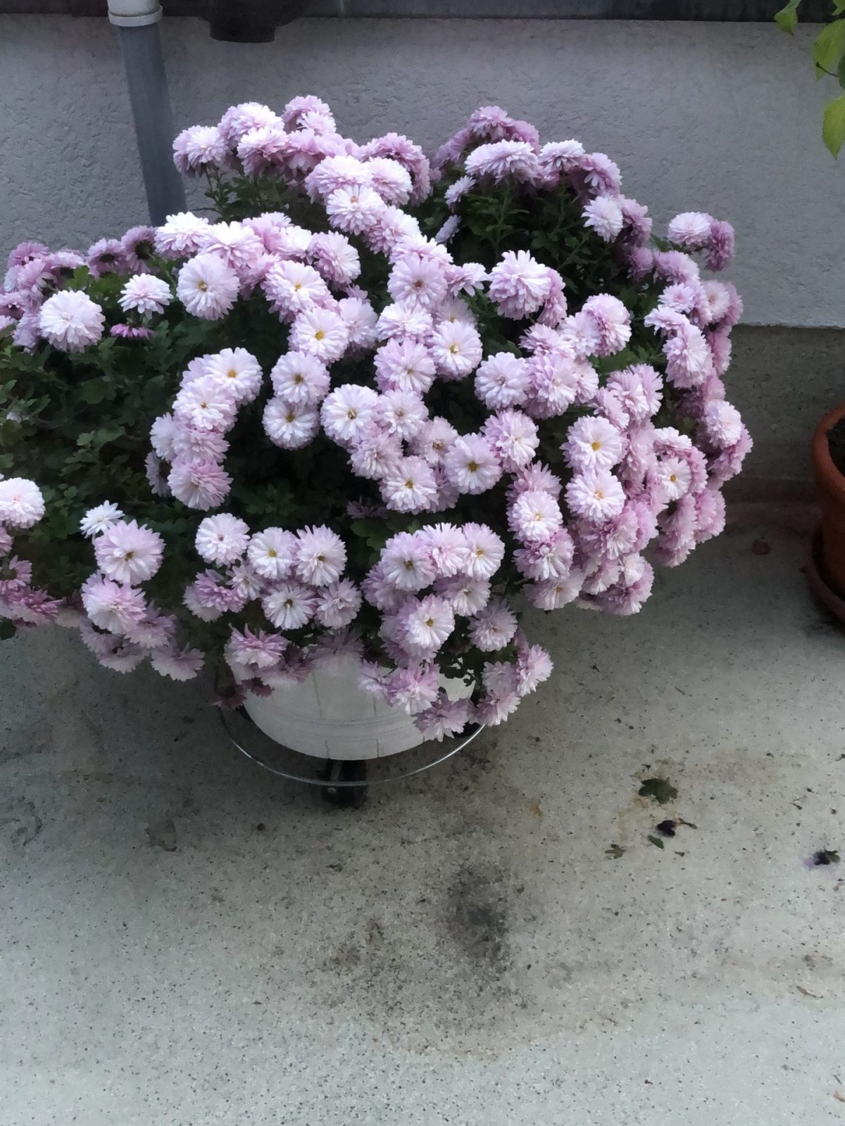 05F3D4E4-93D6-4D61-9697-60C6D72E5702