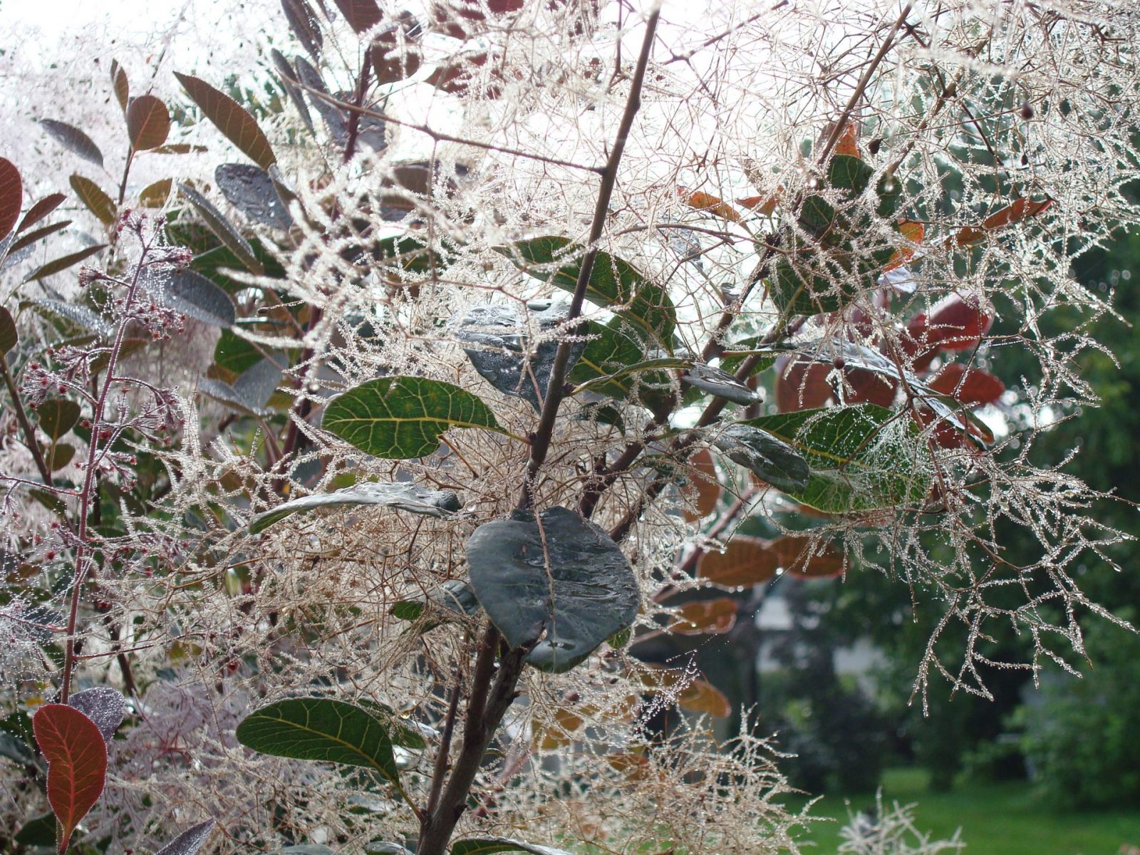 063689AE-A293-44F0-90C9-93FE1058C518