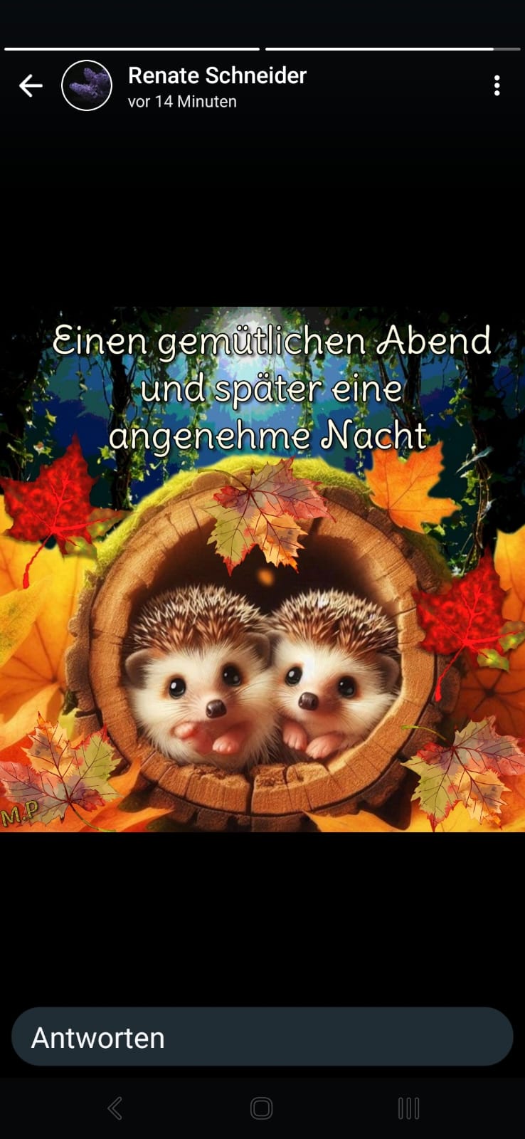 06520ebd-6a03-4881-8a19-60701625060d