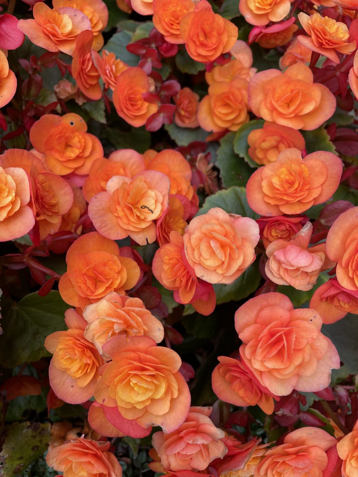 06EB6241-CCE7-4D09-B64B-F8DD7729D373