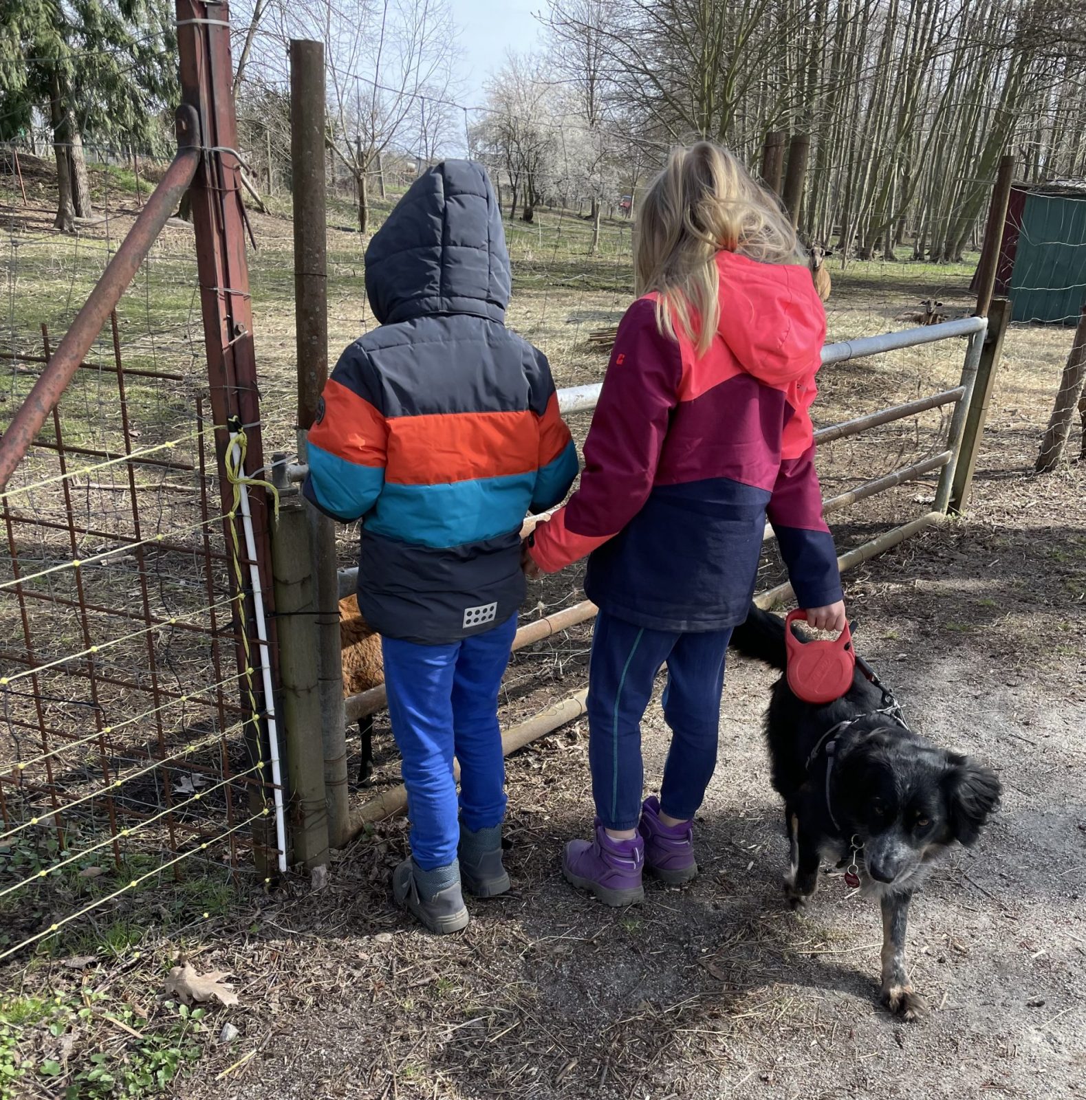 06F4928D-0BD9-4A3F-9878-47857EE90801