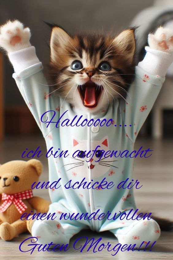 070a173a15bc97f6a5363fc98db5d3b8