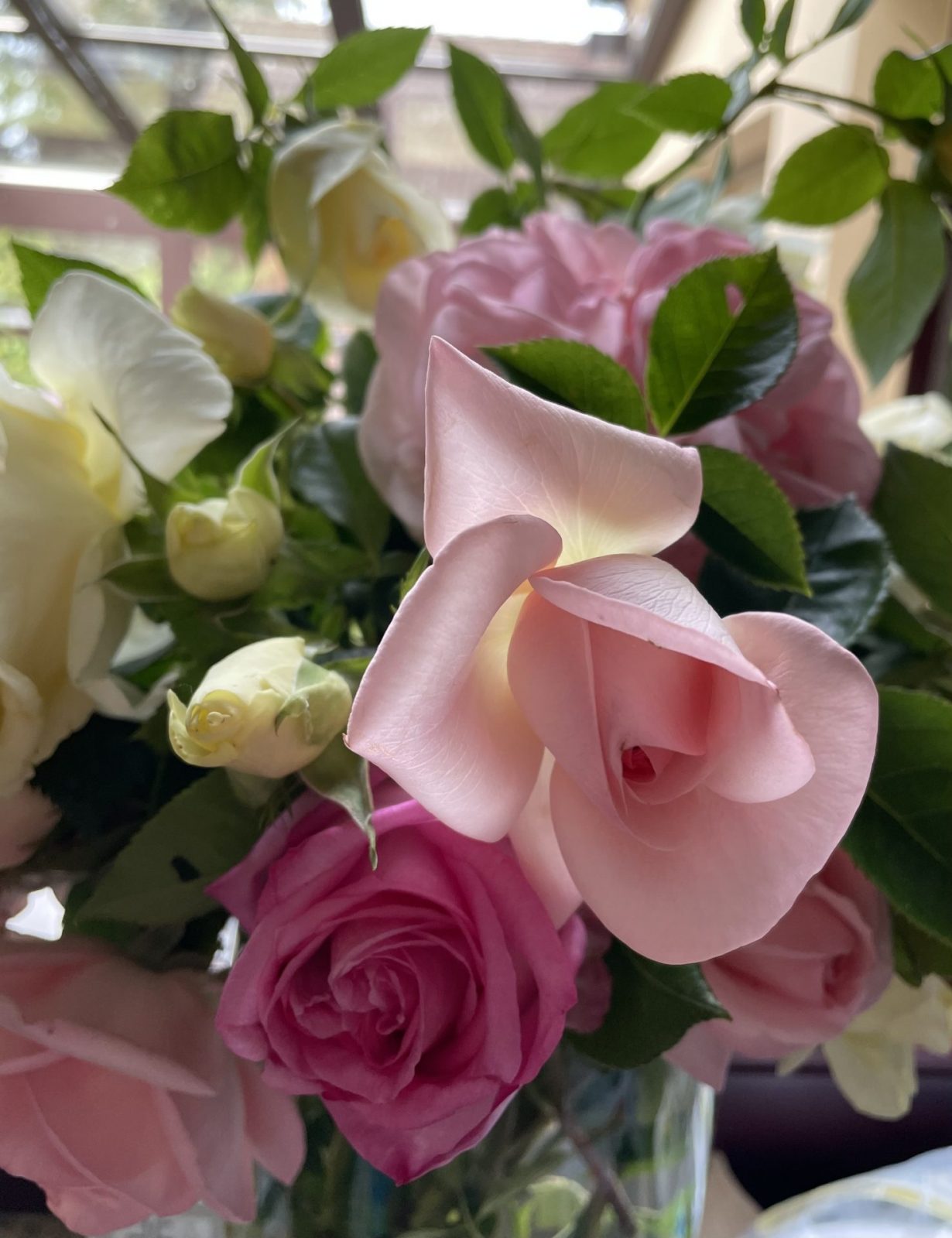 072EFF8E-1577-4C8C-8533-733760AEA52B