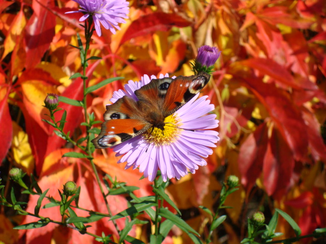 073DE3DB-3C3D-457E-80E3-4E07327575F5