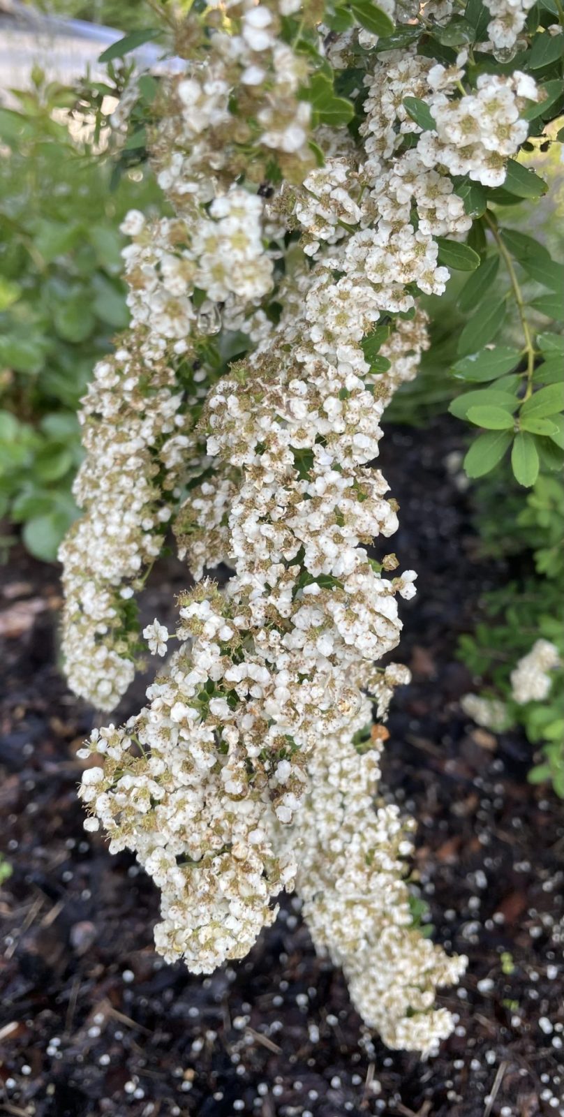 07594C69-F6FF-440B-854F-D4DC97E61FEE