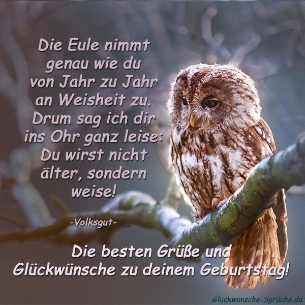 07c7af168122f1fff2ae6dd33223de3b