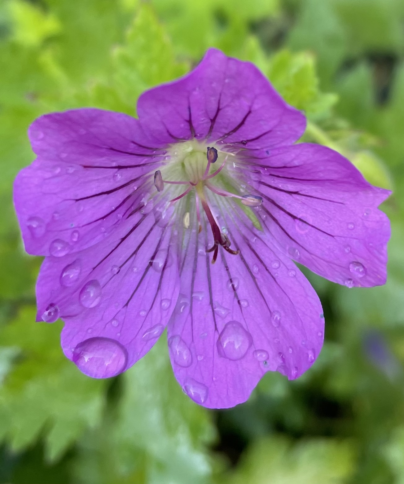 0837BD2A-712F-4225-923F-9B3CE90D16FB