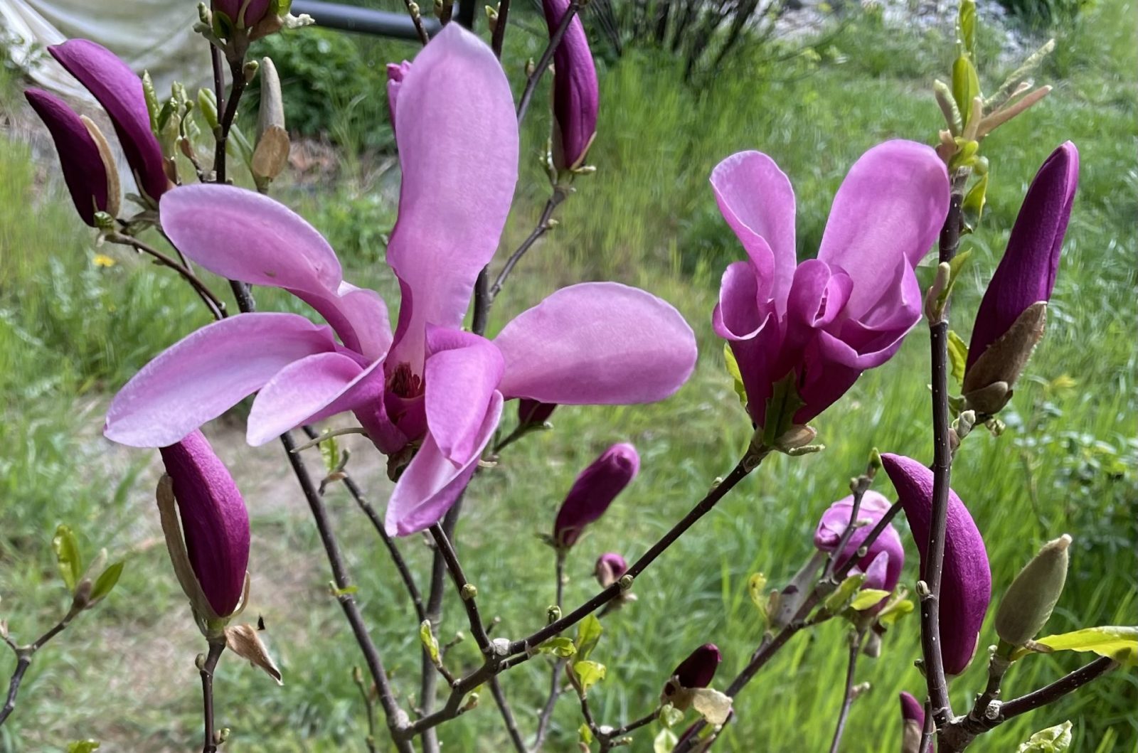 086051FC-89C9-400A-831F-064E8AD0D932