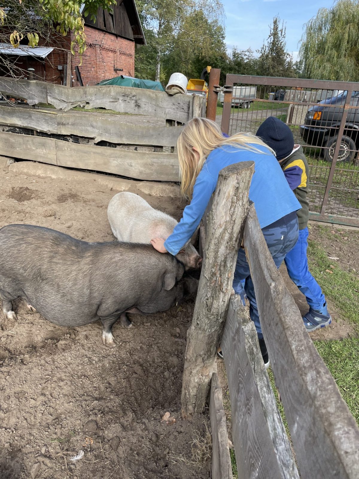 08C0BC27-6736-4EB9-A59E-939AF8681DED