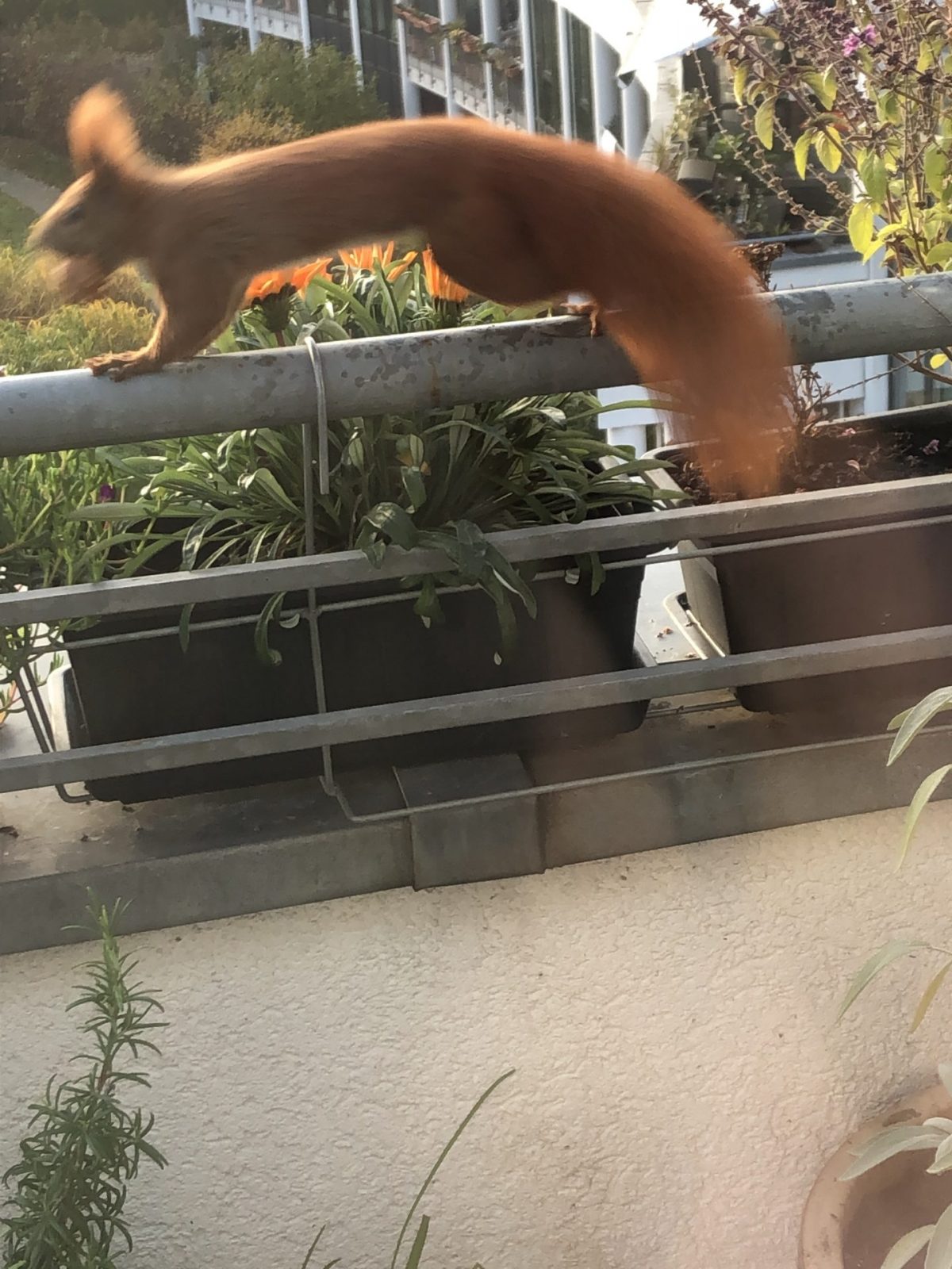 08E856A8-711A-4895-975E-7269765F895A