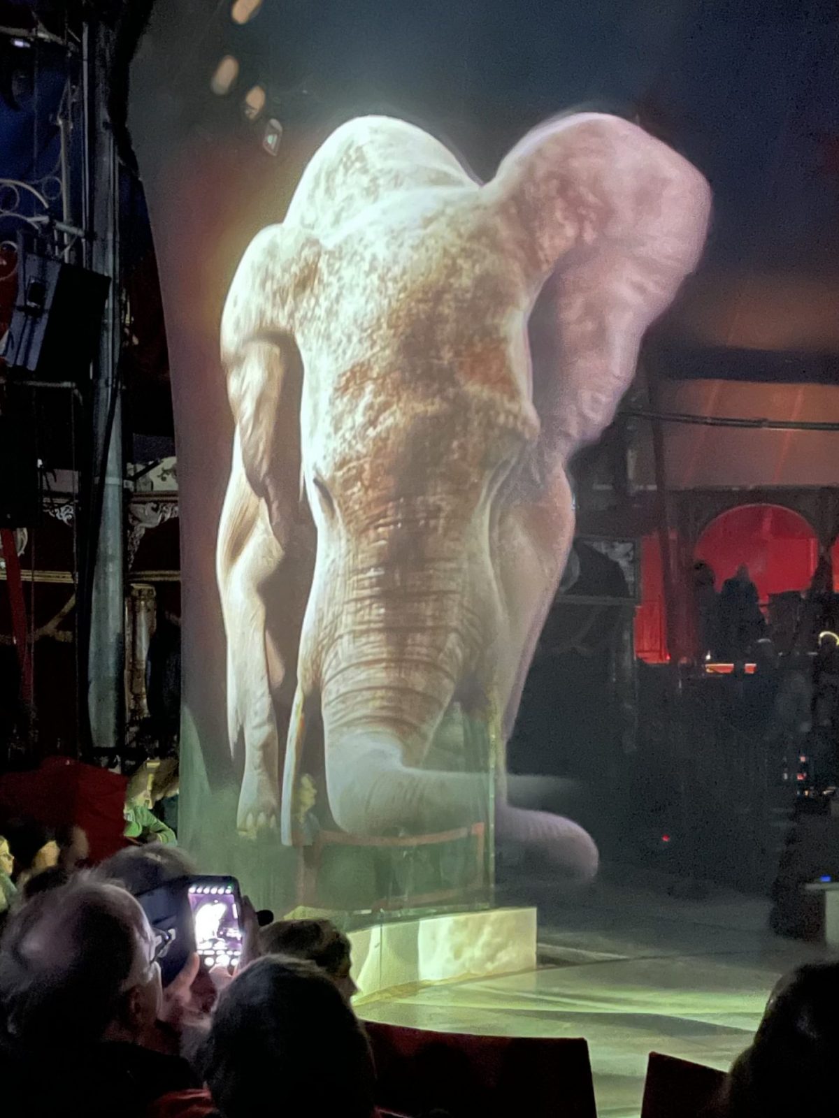 091867AF-3682-4DA2-BB83-A56EA3314485