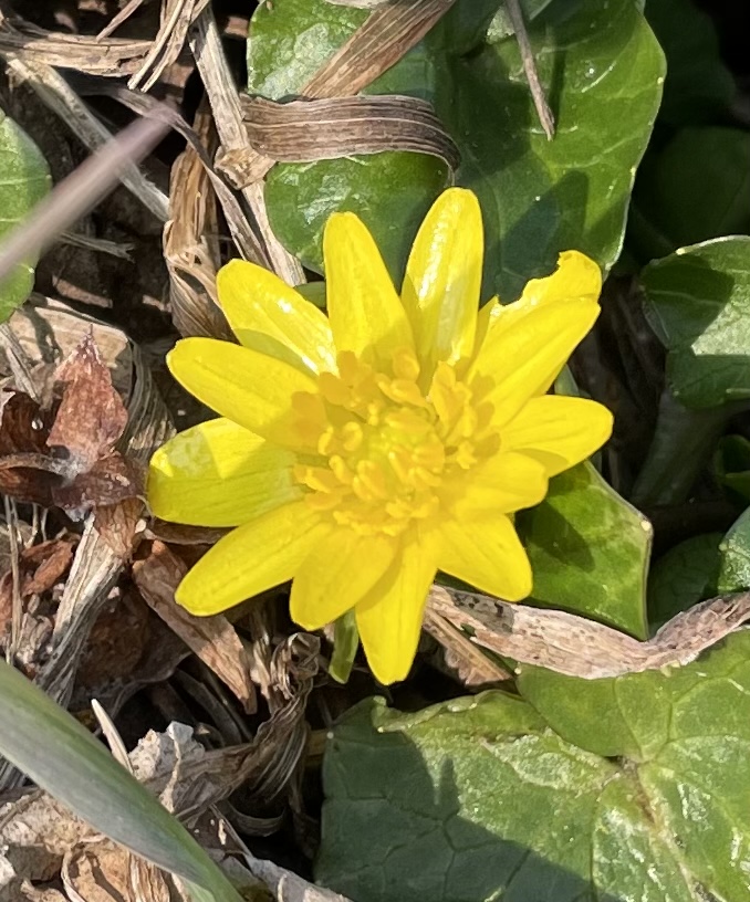 092A6B95-D47F-4506-BA9C-EDAD25B1E71E