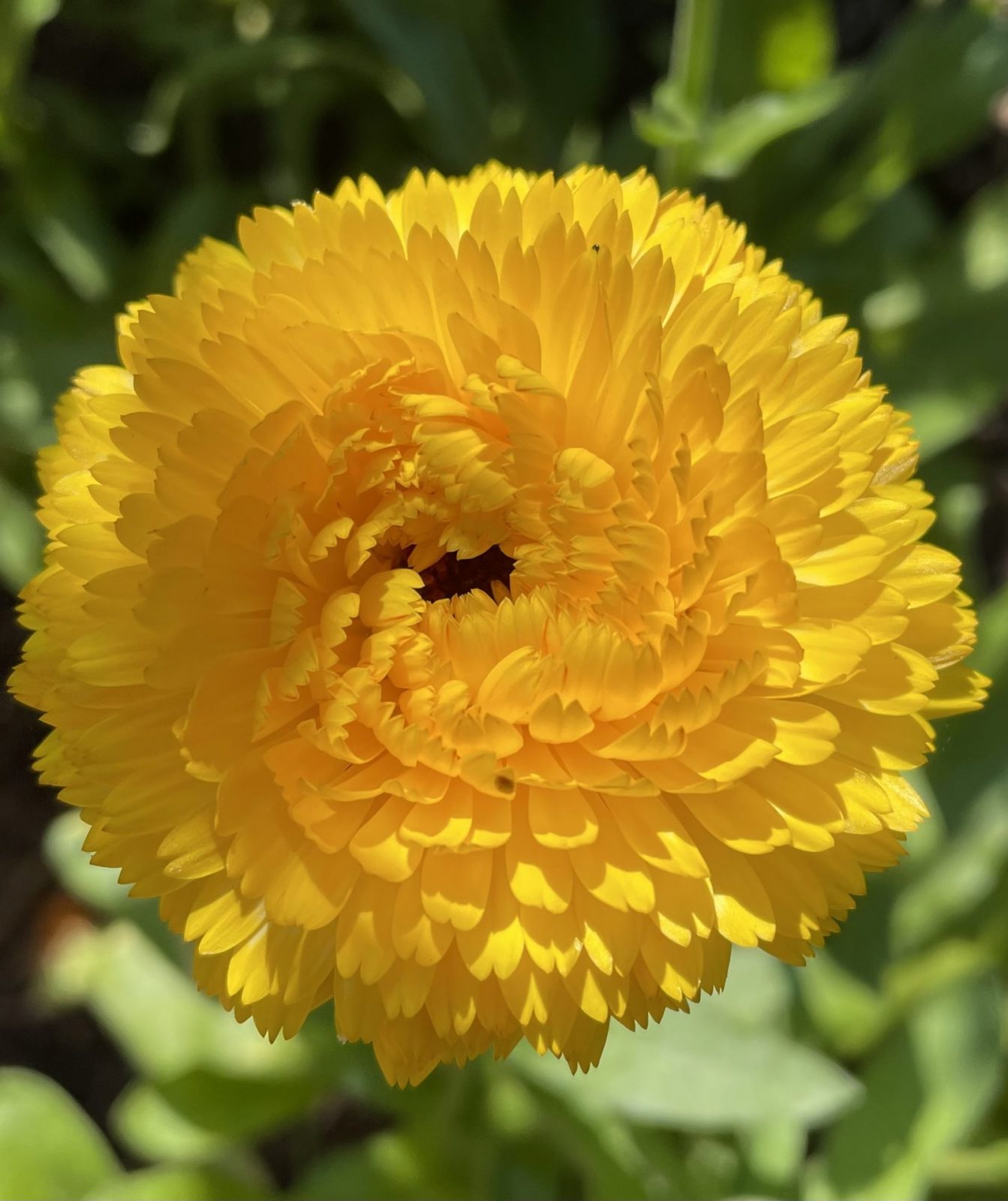 09530F1B-6563-4A2E-8813-30389847BCAA