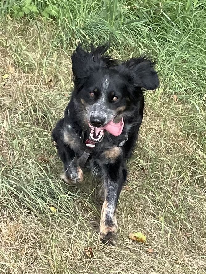 09C3E23E-0405-4336-9EBF-DEB461E1AA8D