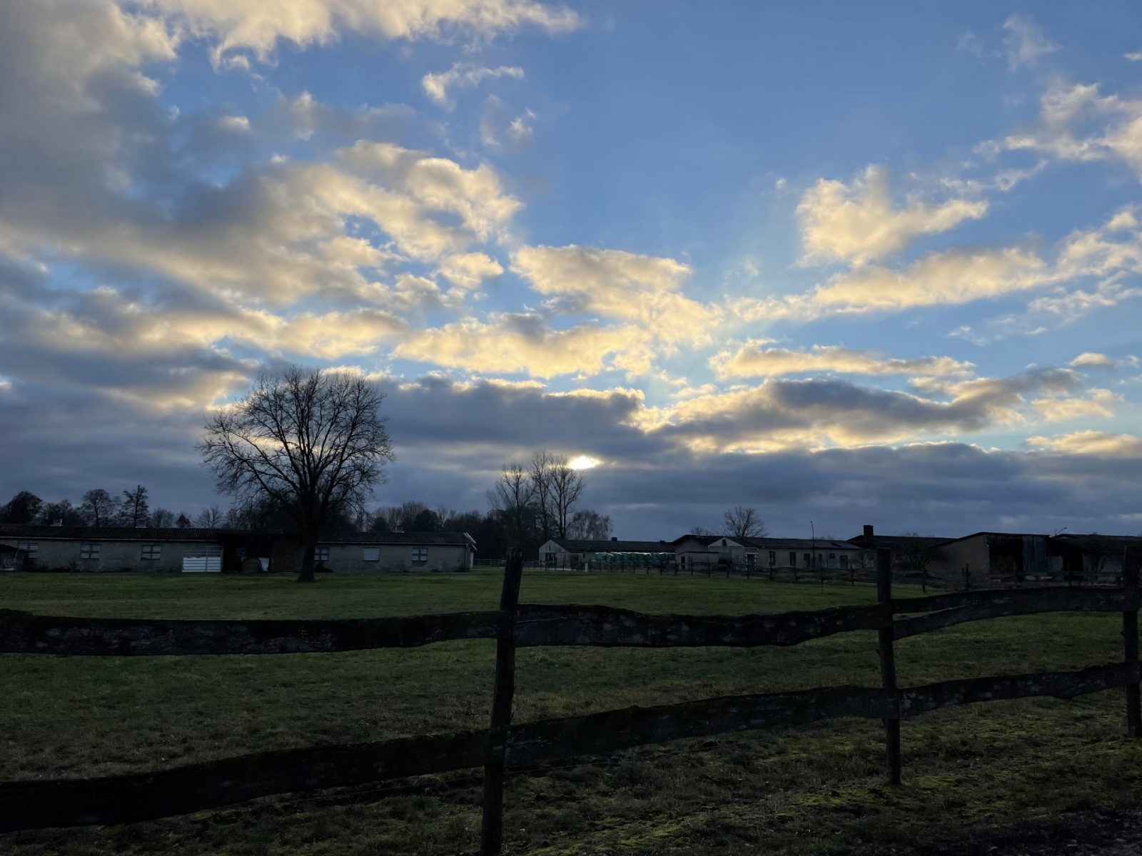 0A41D35A-F14C-4993-9D34-55DEF8979FFF